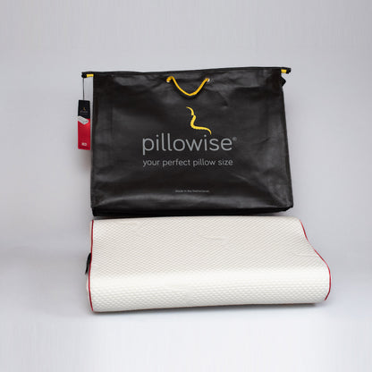 Pillowise Pillows